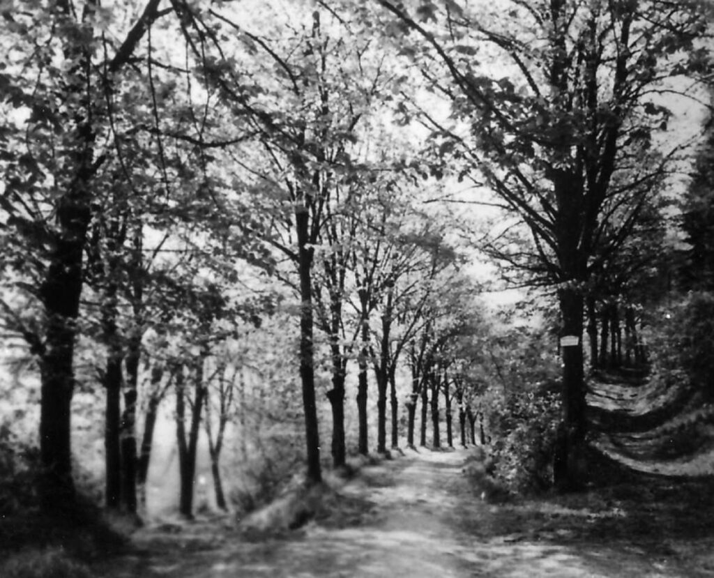 themar_1910er_004.jpg