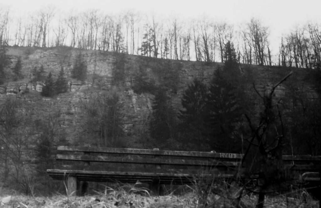 themar_1964_frey_wolfgang_009.jpg