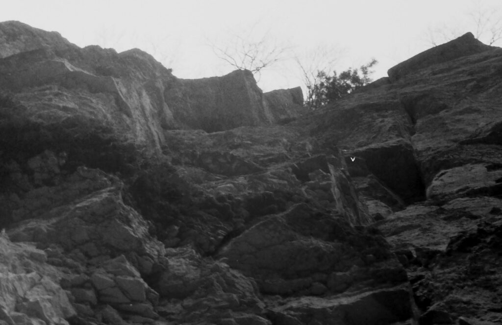 themar_1964_frey_wolfgang_012.jpg