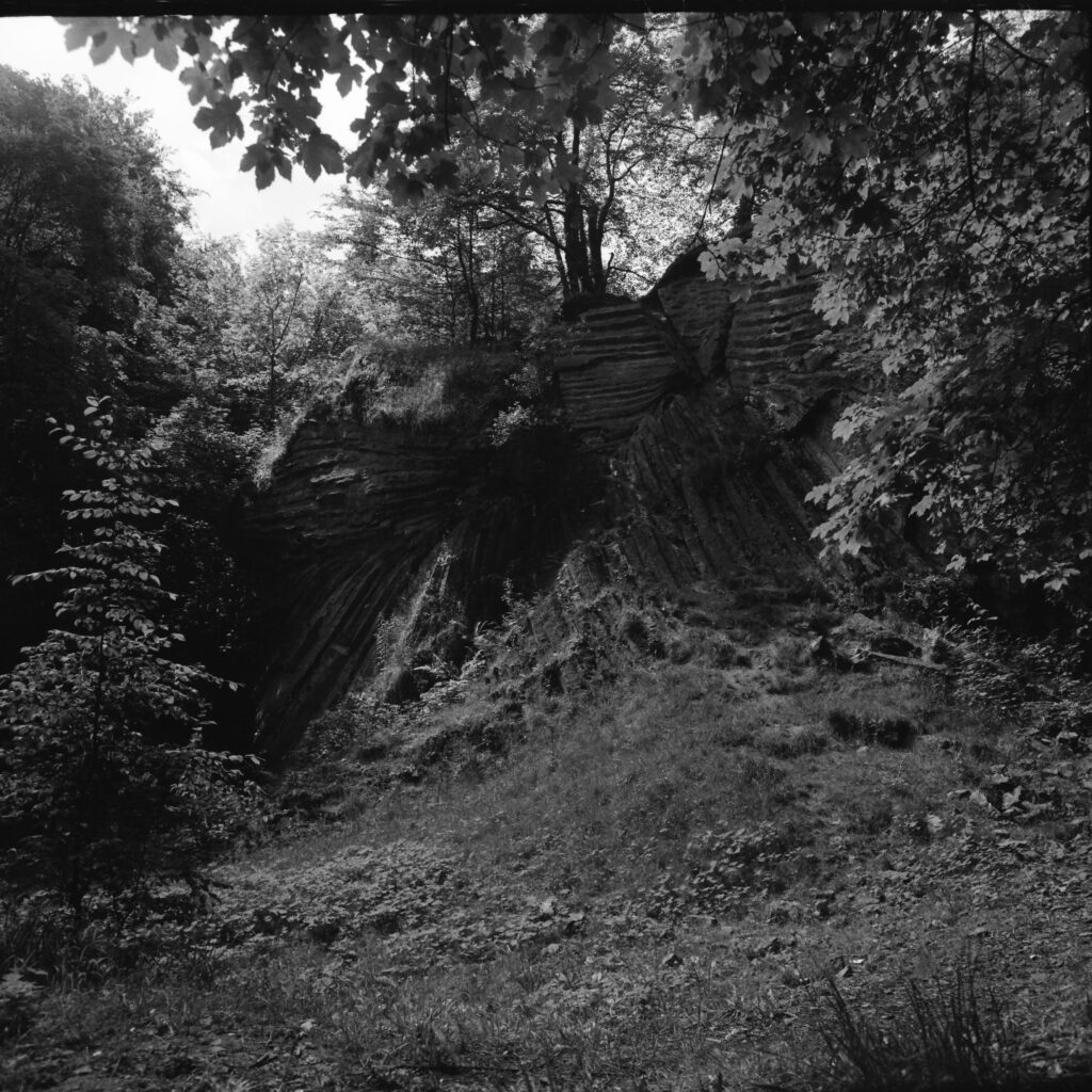themar_foto_mittag_6x6_0340007.jpg