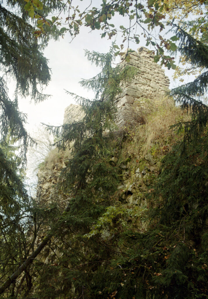themar_foto_mittag_35mm_03314-3.jpg