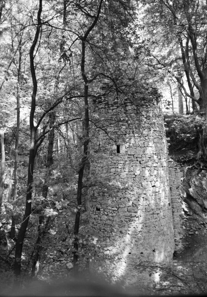themar_foto_mittag_6x6_03413.jpg